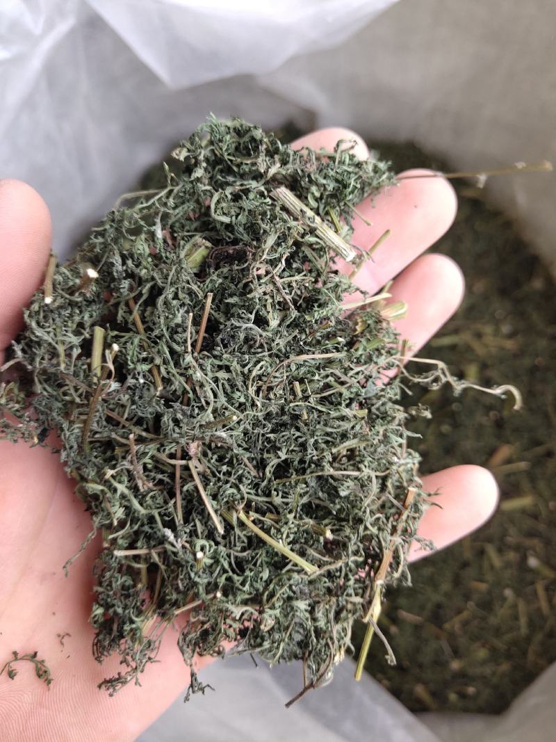 青蒿，山东青蒿，大量现货药厂合作关书药业………