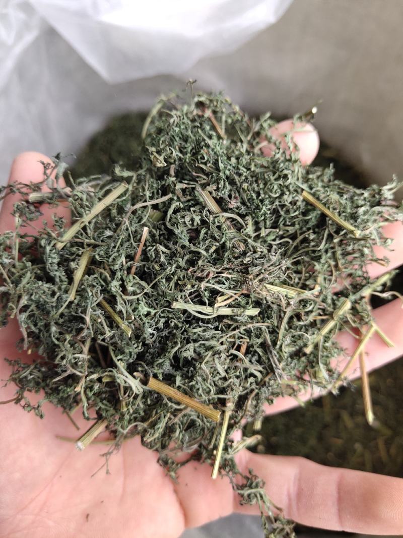 青蒿，山东青蒿，大量现货药厂合作关书药业………