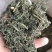 青蒿，山东青蒿，大量现货药厂合作关书药业………
