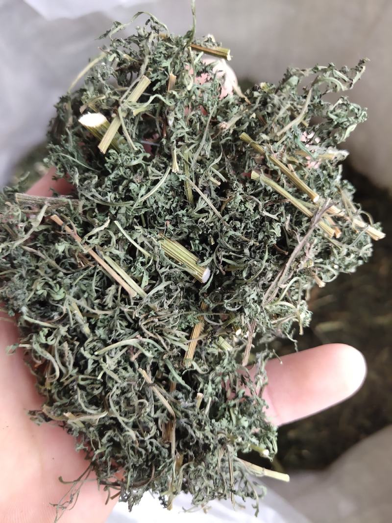 青蒿，山东青蒿，大量现货药厂合作关书药业………