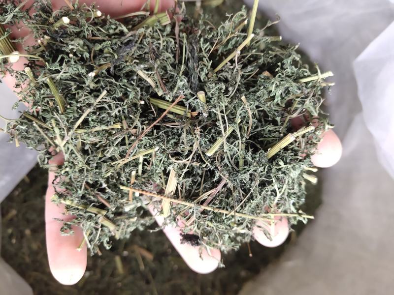 青蒿，山东青蒿，大量现货药厂合作关书药业………