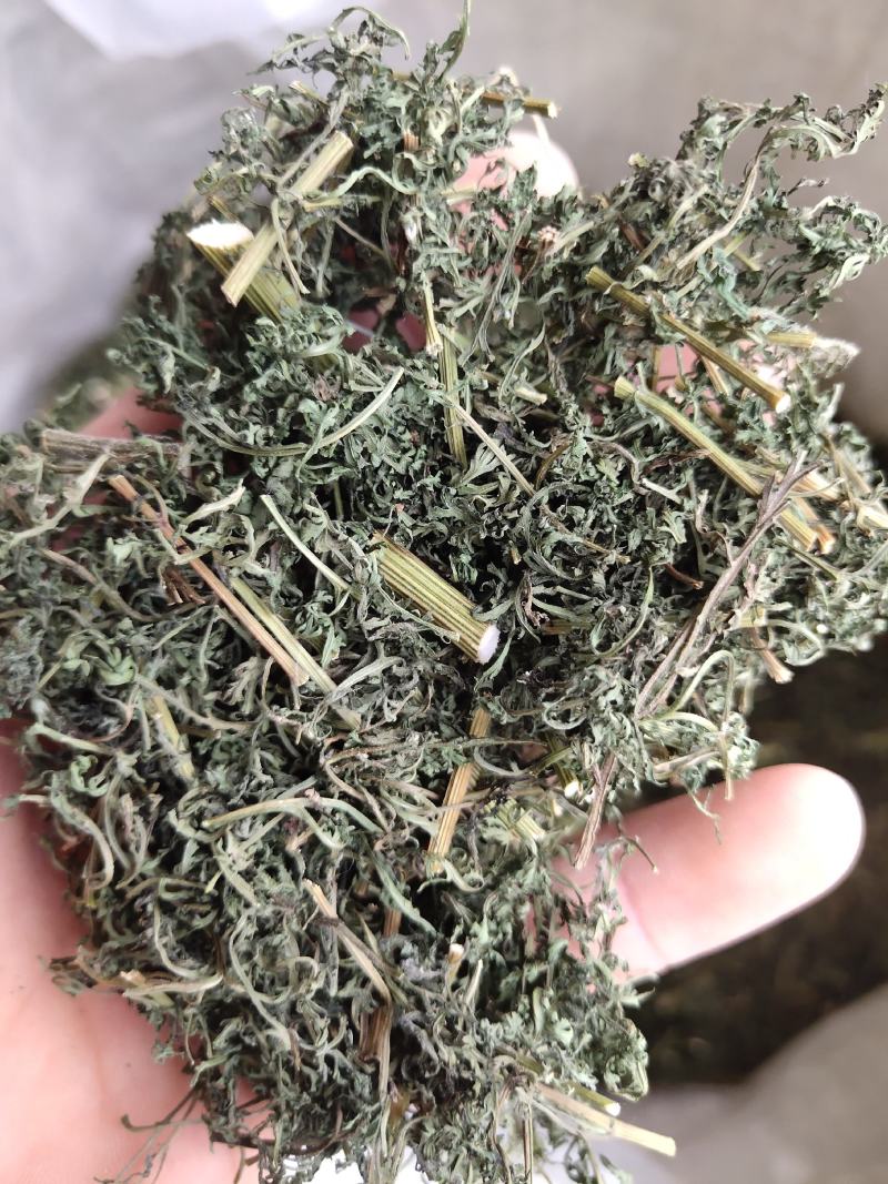 青蒿，山东青蒿，大量现货药厂合作关书药业………