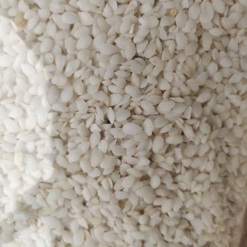 鱼脑石新货颜色好米粒状关书药业批发