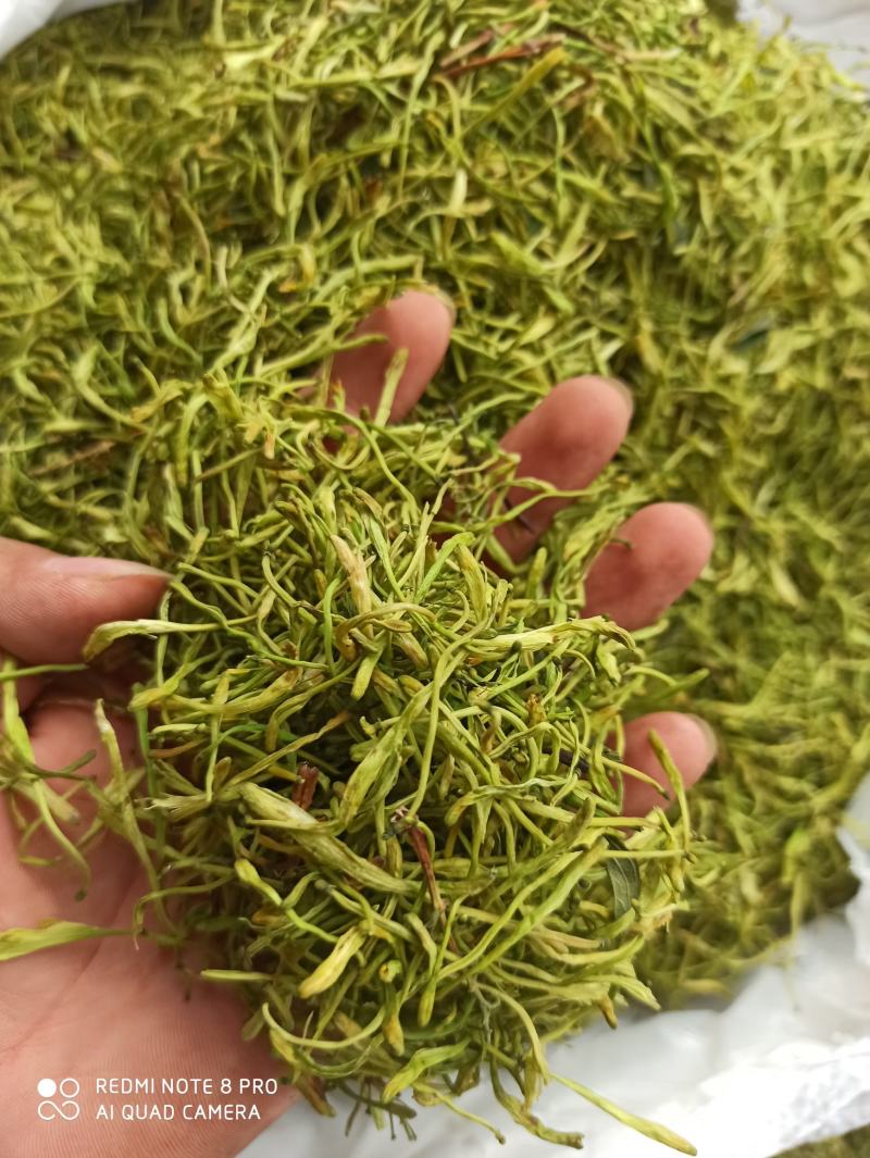 金银花各种规格茶花山银花金银批发零售中药材品质保证