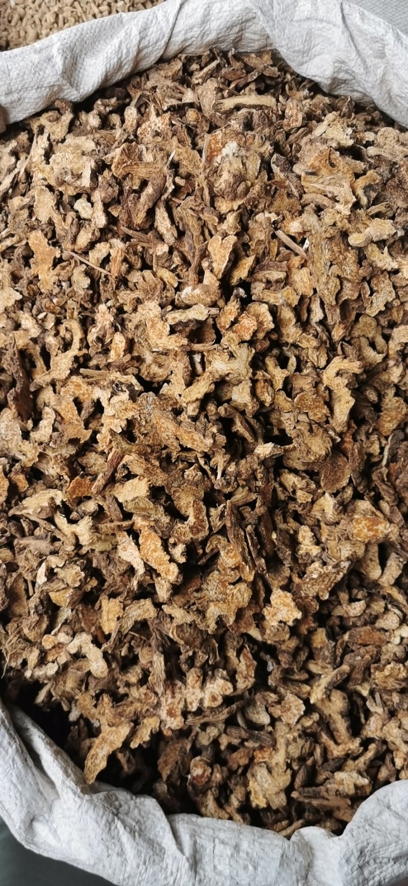 批发中药材苍术产地直销量大从优