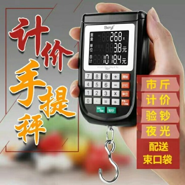 手提电子计价验钞称便携买卖钓鱼称