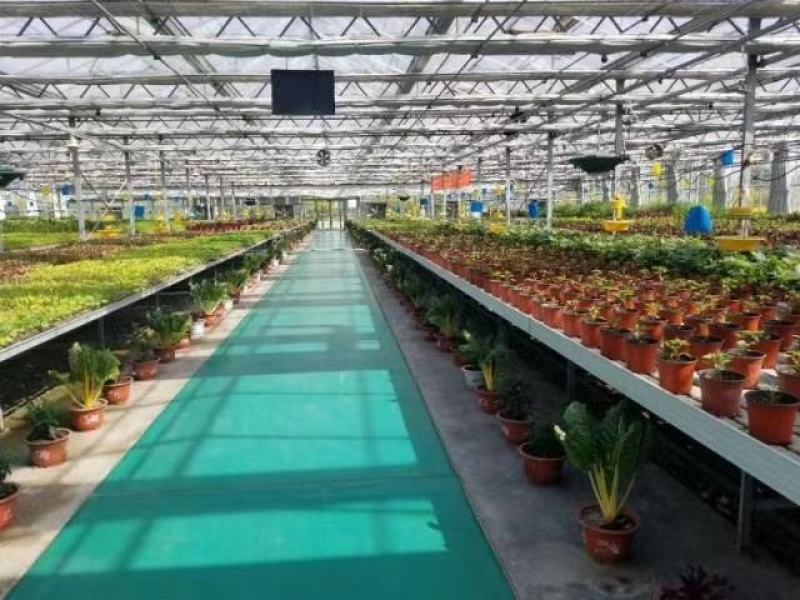 包塑养殖种植大棚厂家直销欢迎联系，30.60热度