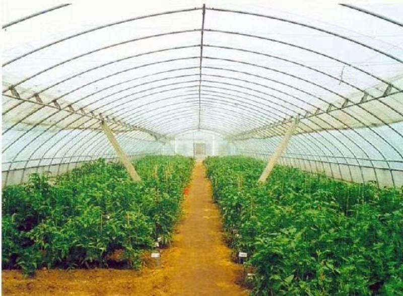 包塑养殖种植大棚厂家直销欢迎联系，30.60热度