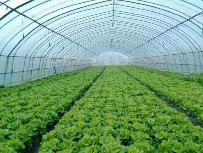 包塑养殖种植大棚厂家直销欢迎联系，30.60热度