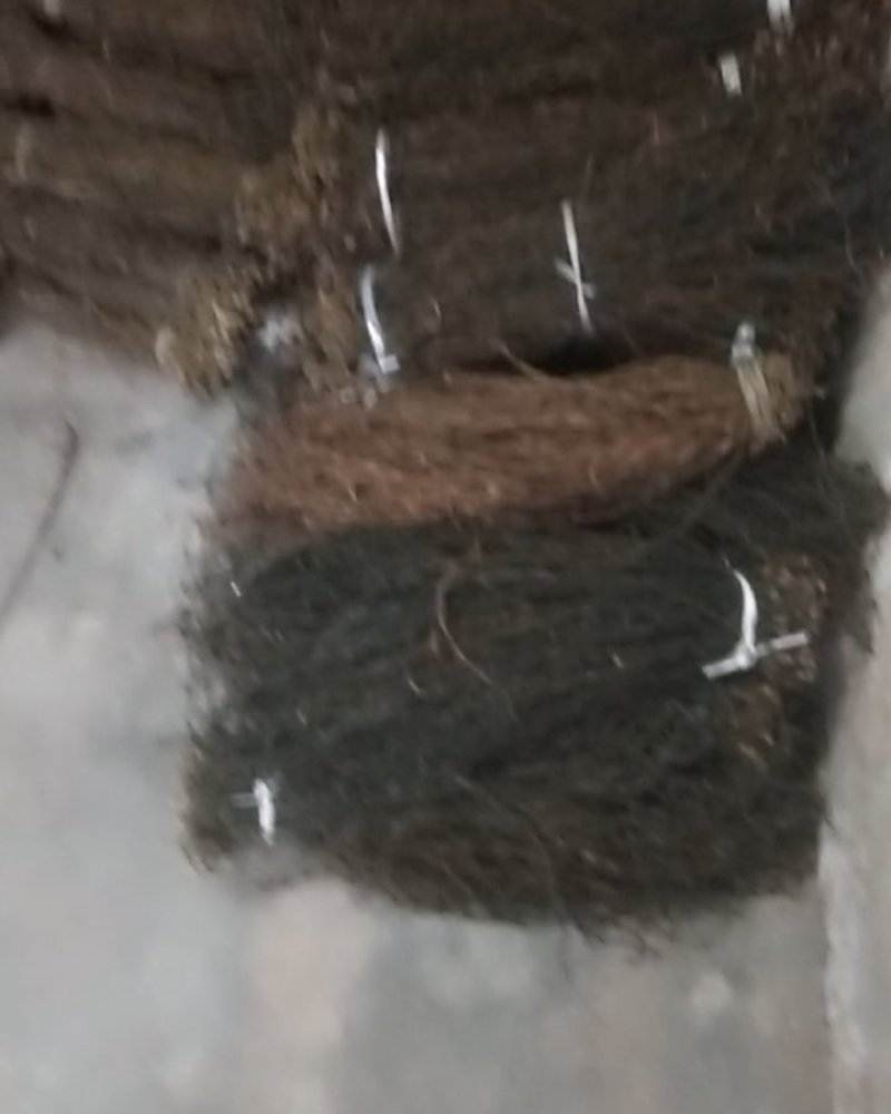 洋县脱水长豆角，产地直供，自然晾晒，无霉烂，无夹心欢迎各