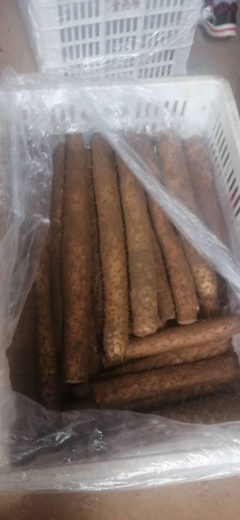 山东新鲜白玉面山药大量现货供应中（产地供货）
