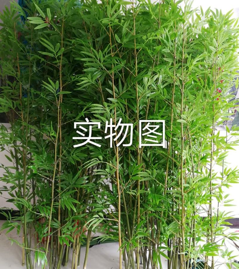 仿真竹毛细水竹阳台屏风隔断酒店装饰室内外装饰隔断户外造景