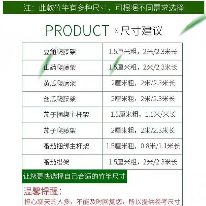 旗杆小种菜竹竿插地专用细条架黄瓜豆角室内外竹子隔断挡墙爬