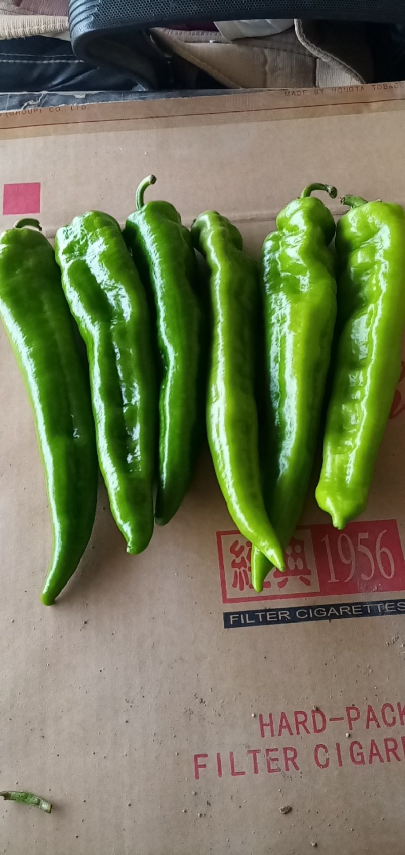 辣椒黄皮羊角牛角