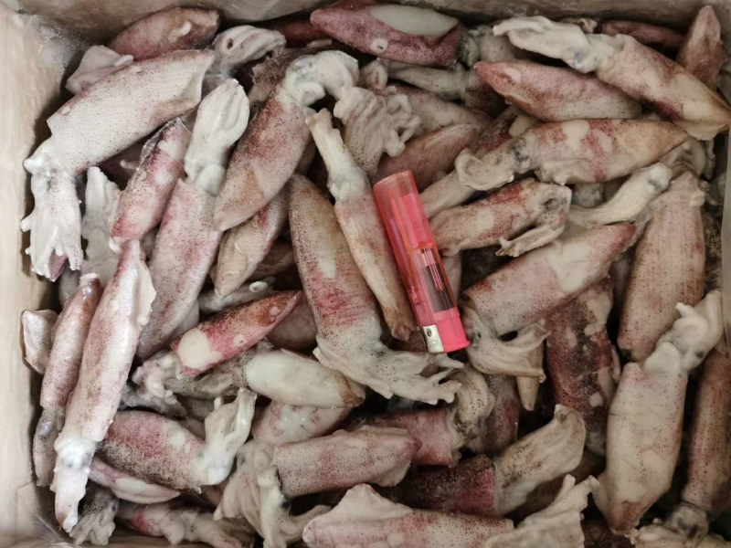 船冻鱿鱼，品质新鲜，肉厚口感脆，各个城市都有物流专线