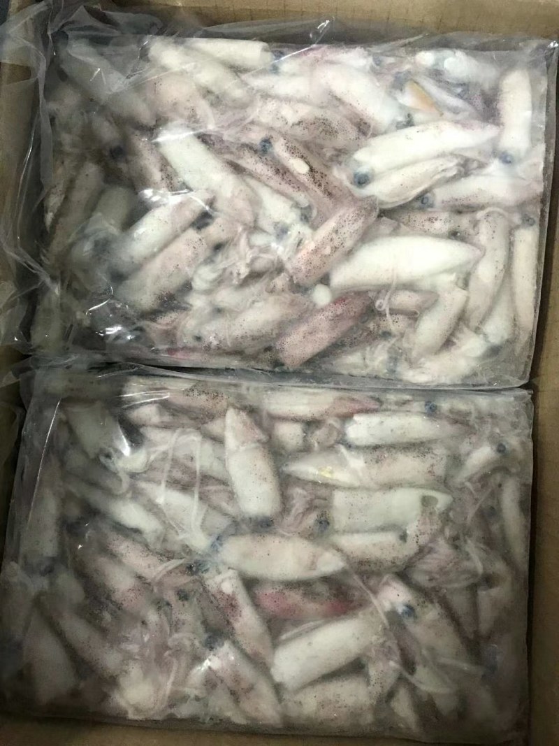 船冻鱿鱼，品质新鲜，肉厚口感脆，各个城市都有物流专线