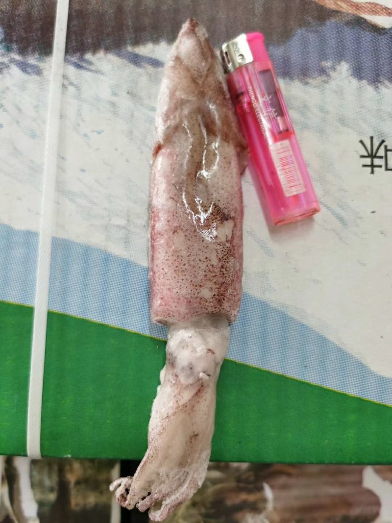 船冻鱿鱼，品质新鲜，肉厚口感脆，各个城市都有物流专线