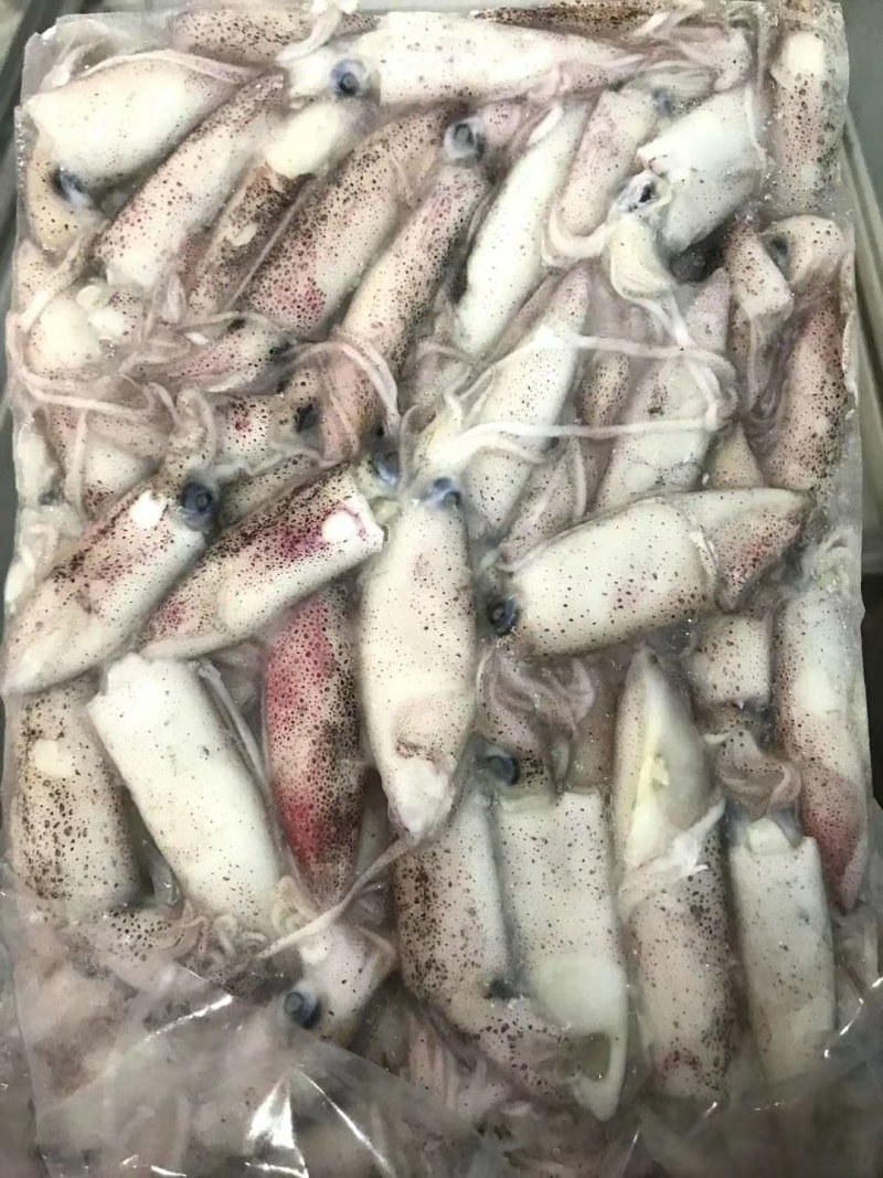 船冻鱿鱼，品质新鲜，肉厚口感脆，各个城市都有物流专线