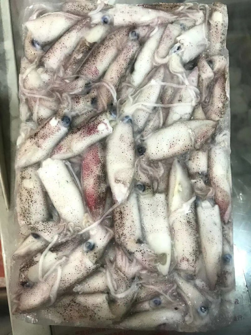 船冻鱿鱼，品质新鲜，肉厚口感脆，各个城市都有物流专线