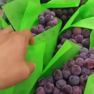 夏黑葡萄，质量好，价格低，特别甜，货源充足，，，