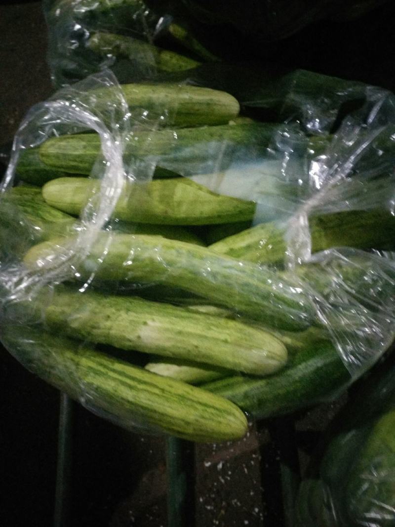 黄瓜水果黄瓜湖南精品水果黄瓜口感清翠香味浓郁