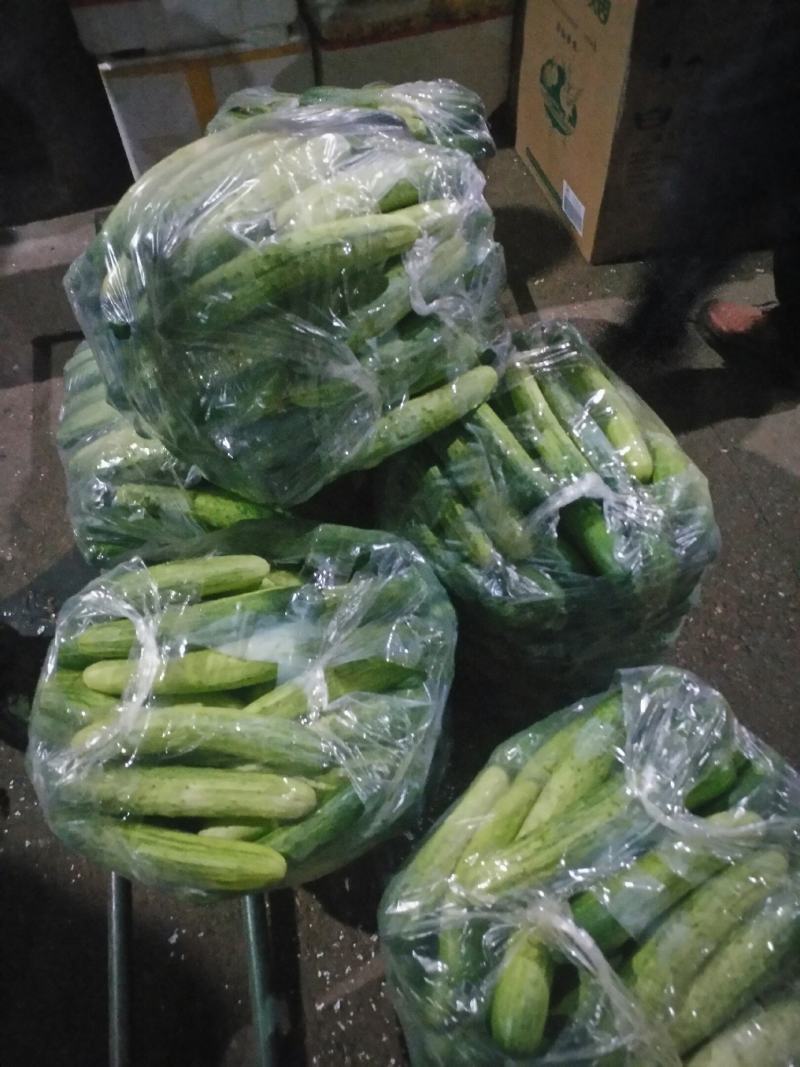 黄瓜水果黄瓜湖南精品水果黄瓜口感清翠香味浓郁