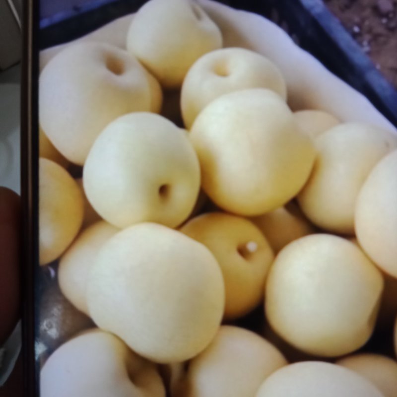 皇冠梨450~500g纸袋