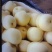 皇冠梨450~500g纸袋
