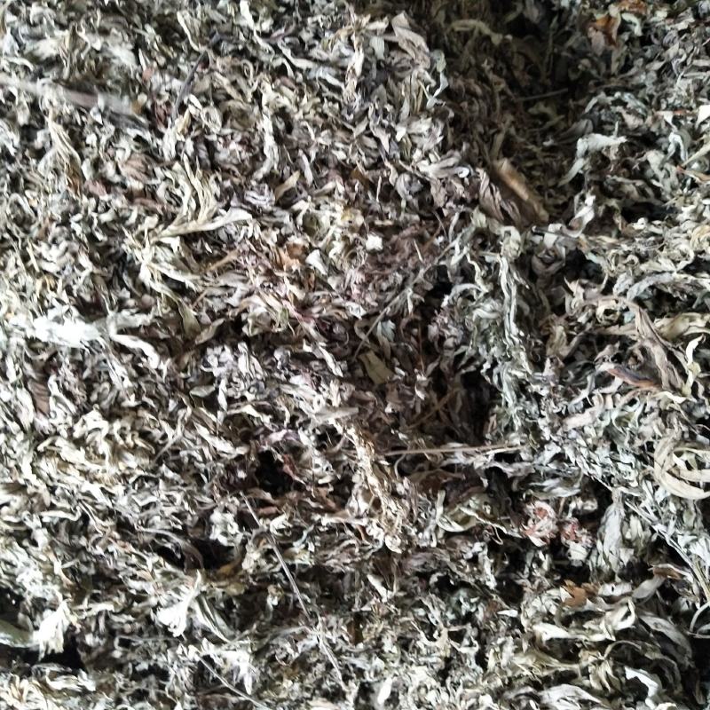 纯野生艾叶，机压机，散装都有。电商直供，需要可电话联系