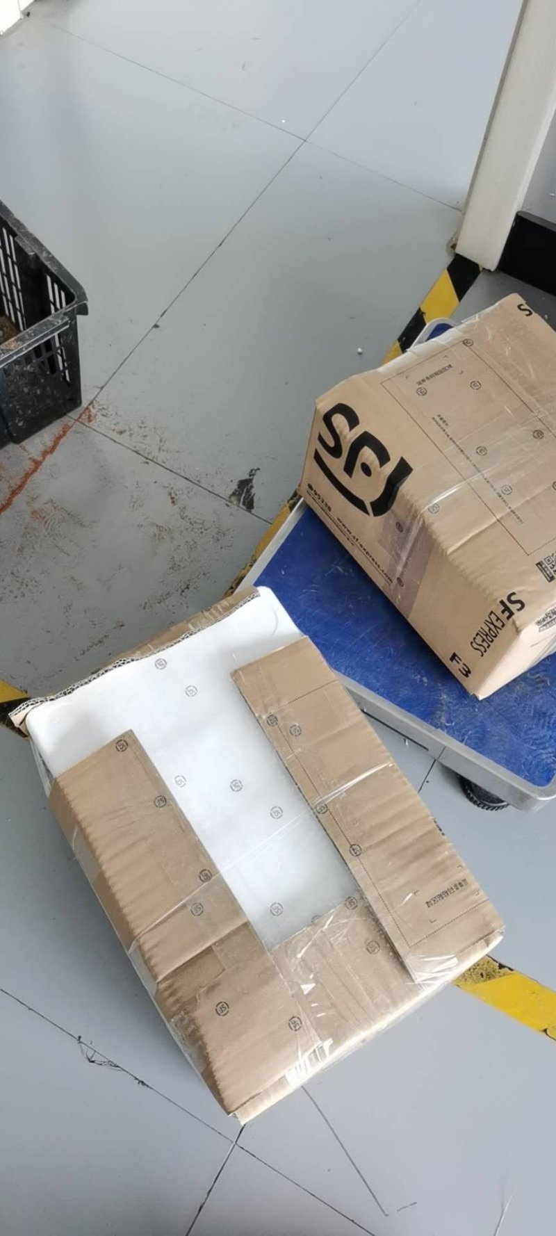 食用菌野生鸡枞菌批发，全国冷链航空发货，品质保证