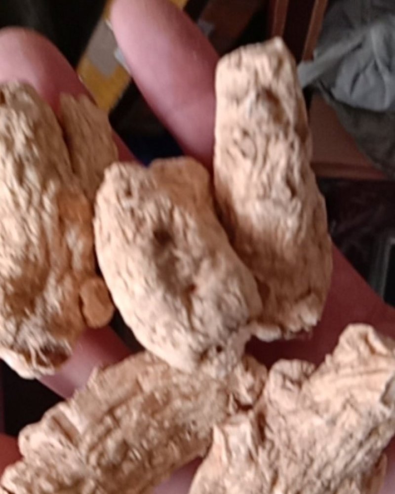 西洋参，常年批发供应各种规格西洋参立头量大从优