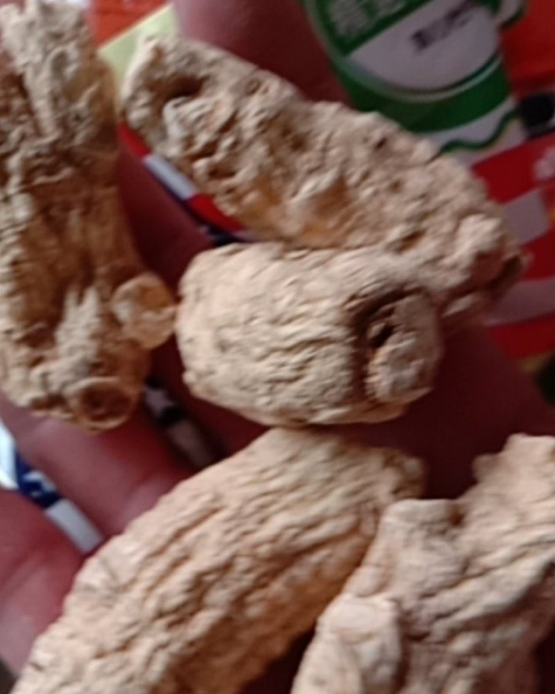 西洋参，常年批发供应各种规格西洋参立头量大从优
