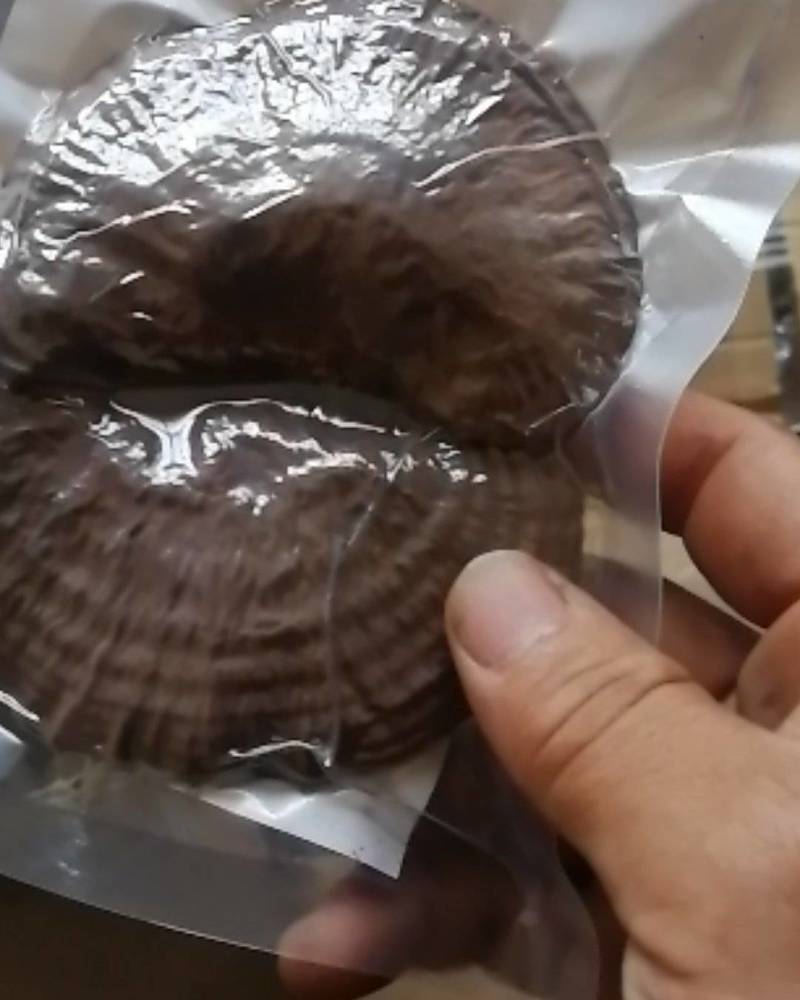 灵芝优质】自家种植真空灵芝养殖基地，自产自销，货真价实
