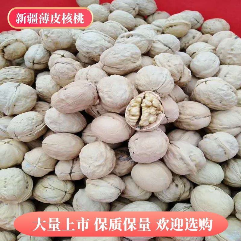 新疆核桃薄皮核桃厂家供应价格低皮薄坏果率低