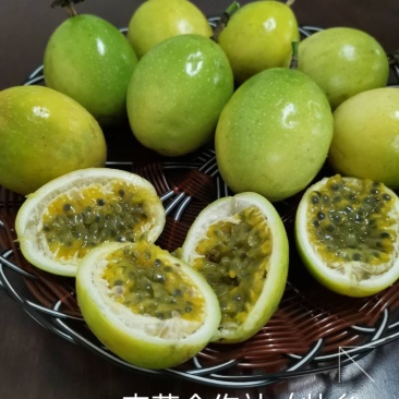壮乡蜜宝蜂蜜味维蜜黄金百香果产地直供批发一件代发可开发票