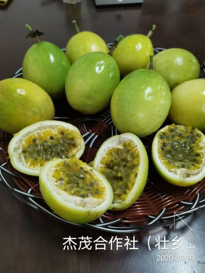 壮乡蜜宝蜂蜜味维蜜黄金百香果产地直供批发一件代发可开发票