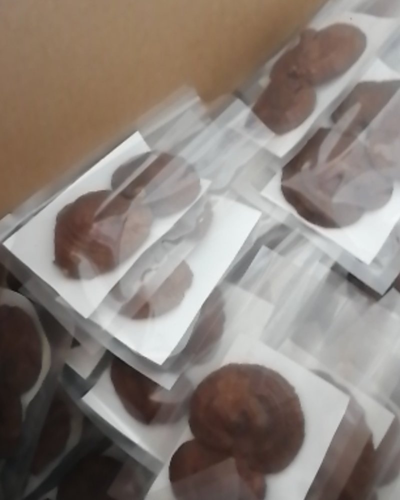 灵芝优质】自家种植真空灵芝养殖基地，自产自销，货真价实