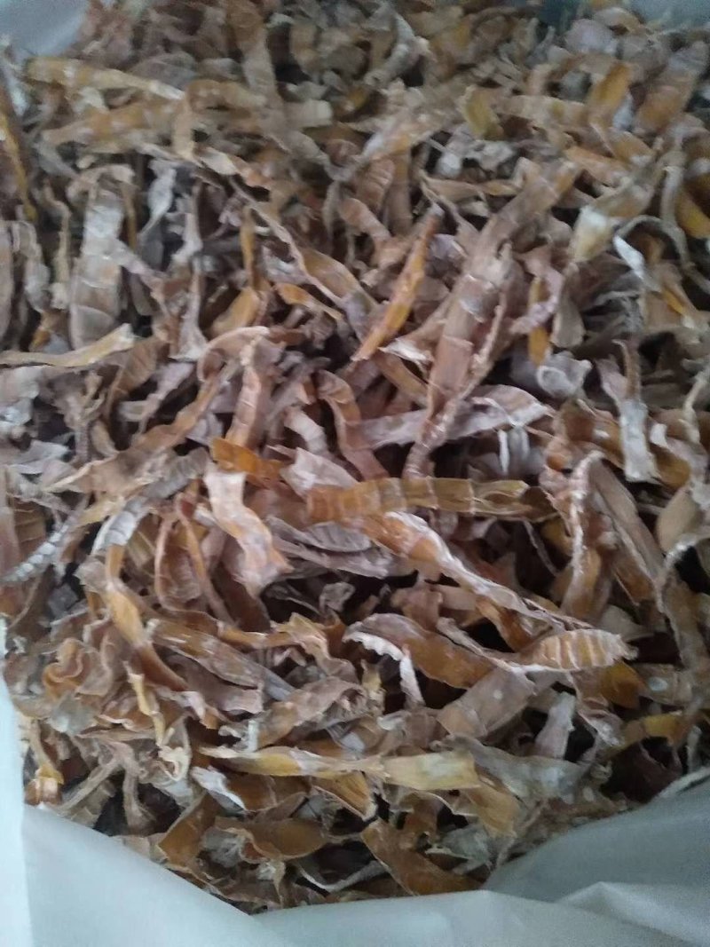 干竹笋
