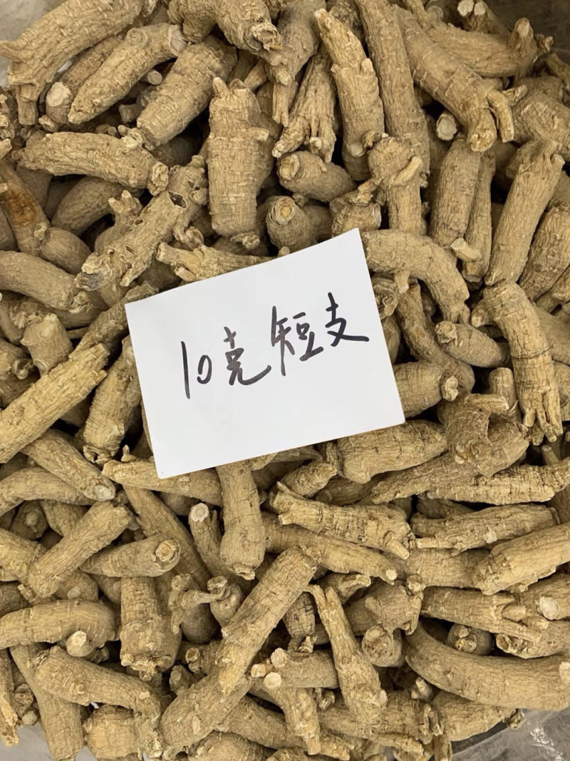 西洋参山东花旗参西洋参条免费打粉切片批发代理代发