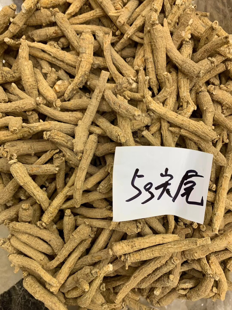 西洋参山东花旗参西洋参条免费打粉切片批发代理代发