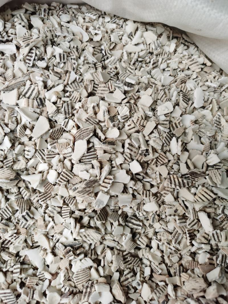 瓦楞子煅瓦楞子正品质量保证实物拍摄