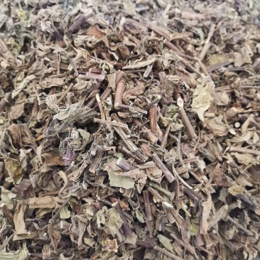 云南野生猫须草肾茶