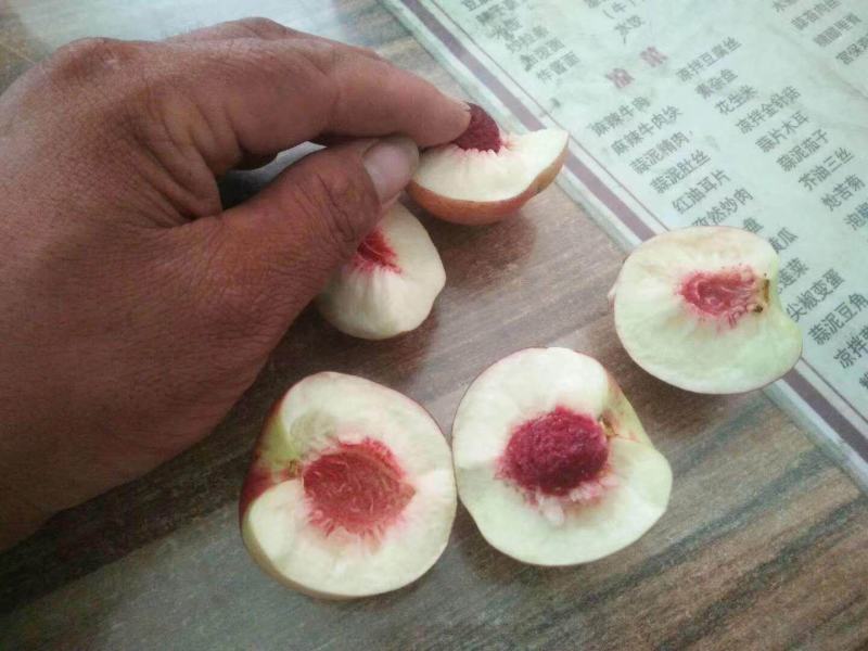 珍珠枣油桃精品油桃离合珍珠枣油桃，枣油桃