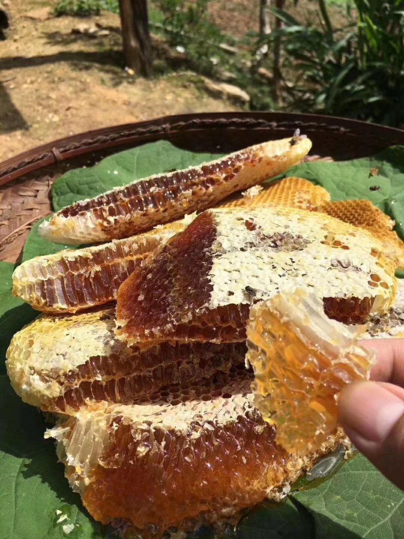 野生土蜂蜜，可视频看货，量大从优，无添加，保证口感纯正