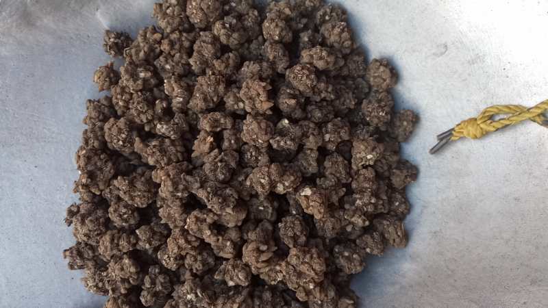 猫爪草(水洗)大统货，小统价格面议