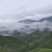 云雾茶昭平红茶产地直发保质保量欢迎咨询