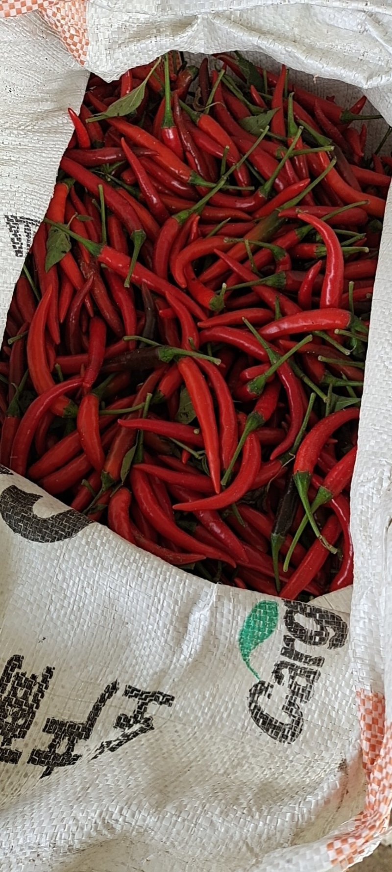 河南小米椒精品艳红辣椒产地直发可视频看货量大从优