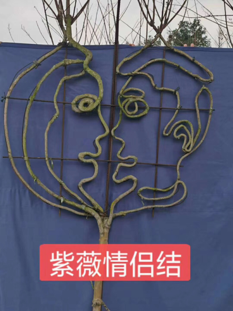 紫薇中国节，紫薇情侣节，紫薇字体紫薇花瓶