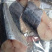 马鲛鱼，鲅鱼，真空包装250克