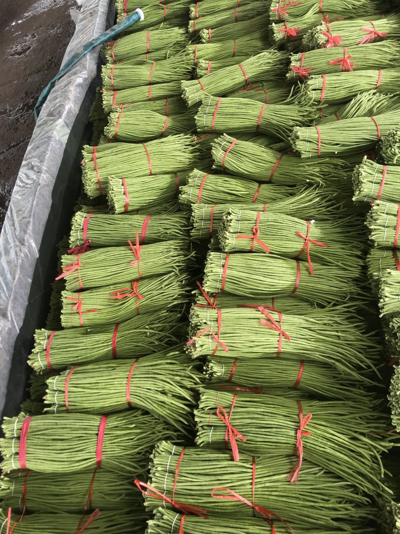 山东兰陵豆角，质量保证兰陵长豆角山东豇豆基地直采